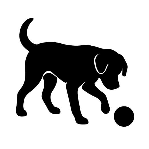 ボールで遊ぶ犬 データ