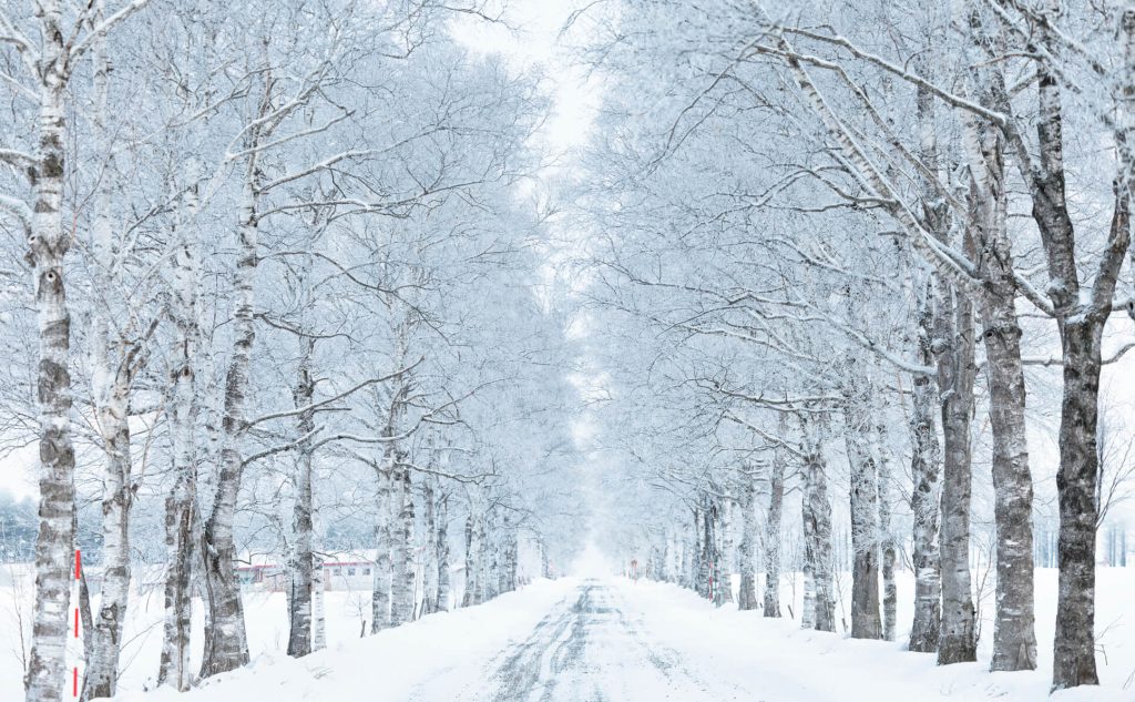 ステッカーが冬に貼れない原因とは？低温で失敗する理由と正しい対策を徹底解説