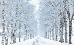 ステッカーが冬に貼れない原因とは？低温で失敗する理由と正しい対策を徹底解説